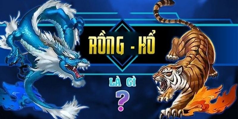 Giới thiệu vài nét về game bài rồng hổ